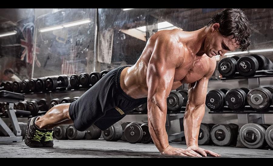 Chest and Back